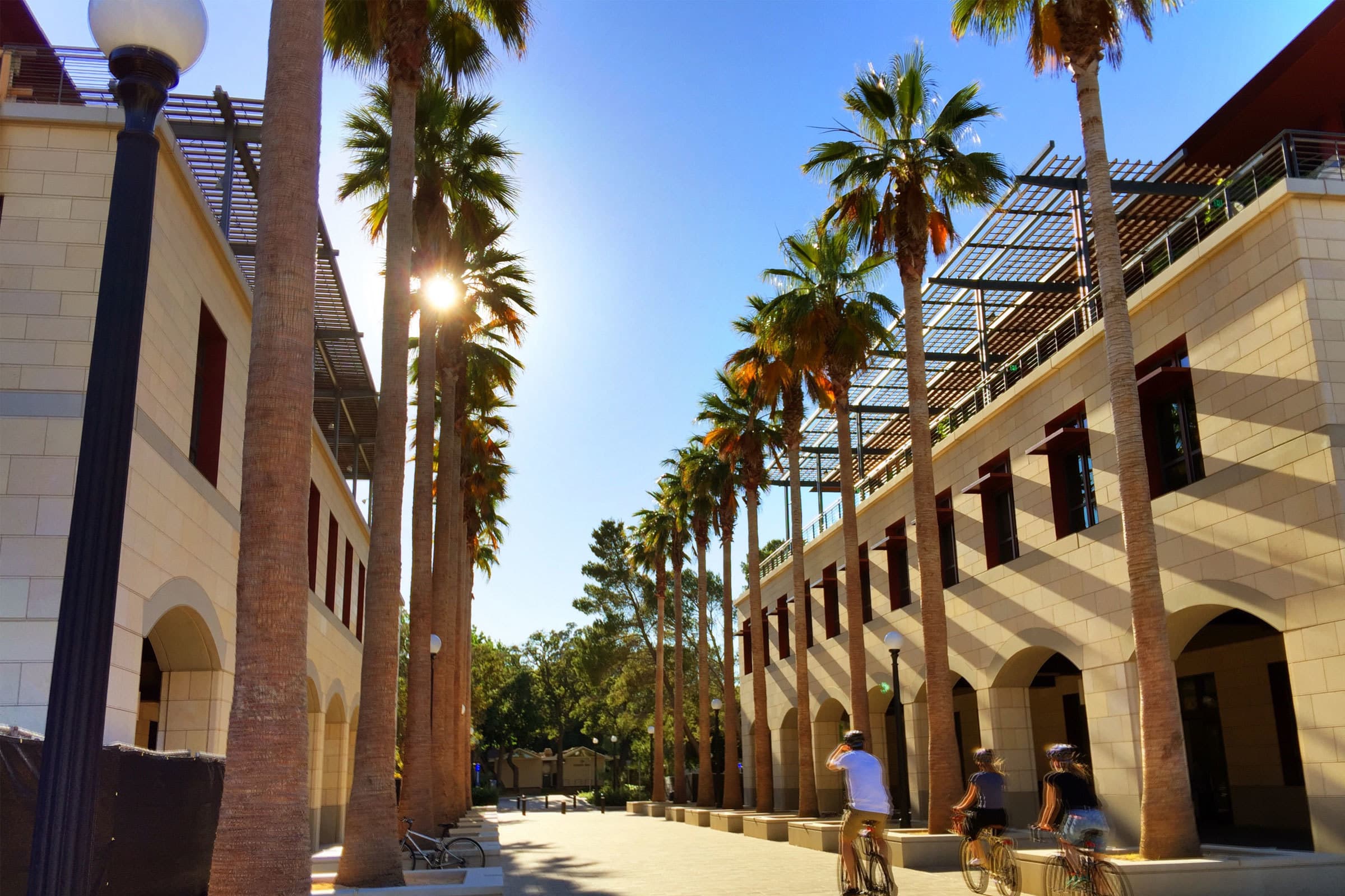 Buildings and trees on Stanford Campus